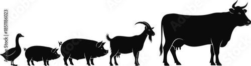 Black Farm Animal Silhouettes Collection with Cow Goat Pigs and Goose Border Isolated on White Background for Rural Livestock Vector Design