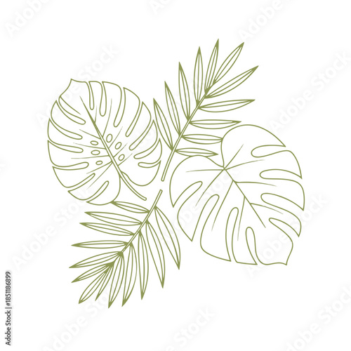 Minimalist Tropical Leaf Line Art Vector: Monstera and Palm Frond Outline Illustration
