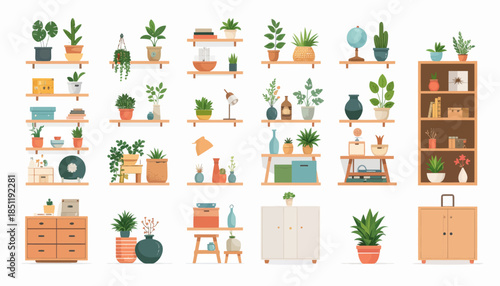 Collection of plants and planters displayed.