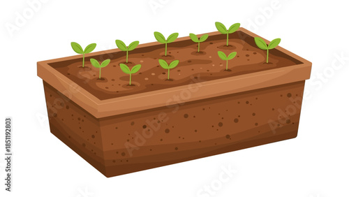 Young seedlings in rectangular planter on white background