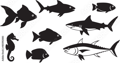 Diverse marine life silhouettes collection featuring seahorse fish sharks tuna aquatic creatures