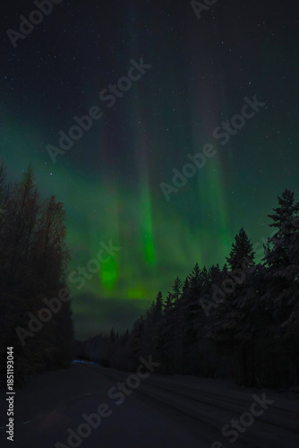 Aurora Borealis halo over snowy winter road through frosted pine forest, Arctic Circle, Finland; vibrant green and red northern lights dancing in cold night sky, icy rural road, polar aurora display
