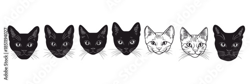 Set of black and white cat head portraits in minimalist flat vector style with different expressions and detailed whiskers line art on white background