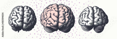 Detailed human brain illustrations set with halftone stippling texture and 90s retro grunge style dot pattern, anatomical neuroscience art design concept