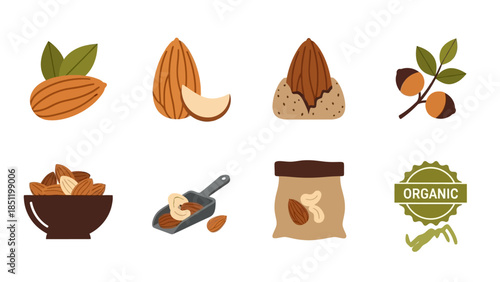 Natural almonds and nuts collection with organic badge in flat design style