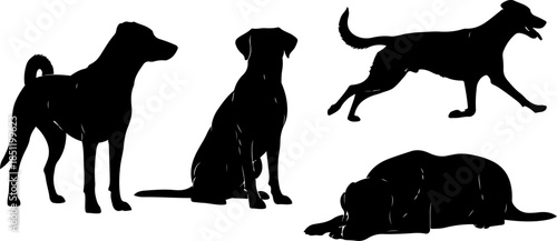 Fluffy Dog Illustration Collection