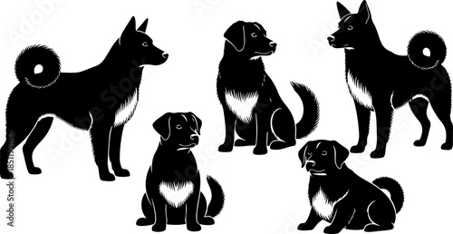Fluffy Dog Illustration Collection