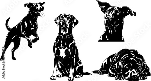 Fluffy Dog Illustration Collection