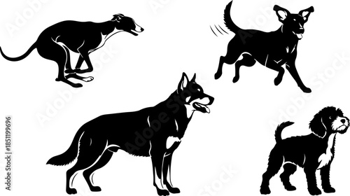 Fluffy Dog Illustration Collection