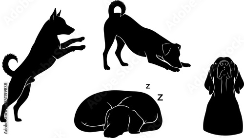 Fluffy Dog Illustration Collection