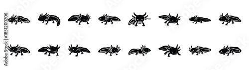 axolotl icons collection. Animal icon set. Isolated on White background