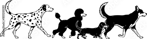 Fluffy Dog Illustration Collection