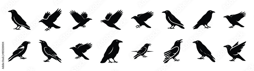 Obraz premium crow icons collection. Animal icon set. Isolated on White background