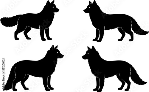 Fluffy Dog Illustration Collection