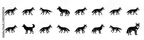 coyote icons collection. Animal icon set. Isolated on White background