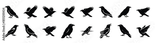 crow icons collection. Animal icon set. Isolated on White background