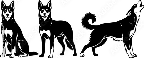 Fluffy Dog Illustration Collection