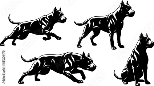 Fluffy Dog Illustration Collection