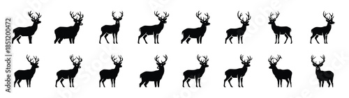 deer icons collection. Animal icon set. Isolated on White background
