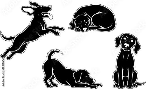 Fluffy Dog Illustration Collection