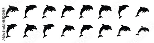 dolphin icons collection. Animal icon set. Isolated on White background