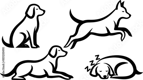 Fluffy Dog Illustration Collection