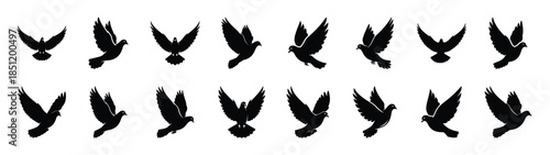 dove icons collection. Animal icon set. Isolated on White background