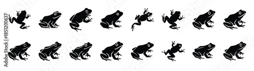 frog icons collection. Animal icon set. Isolated on White background