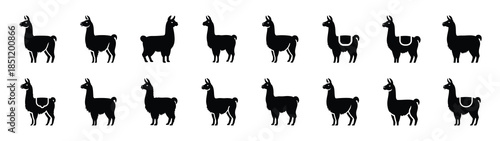 llama icons collection. Animal icon set. Isolated on White background