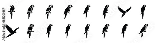 macaw icons collection. Animal icon set. Isolated on White background