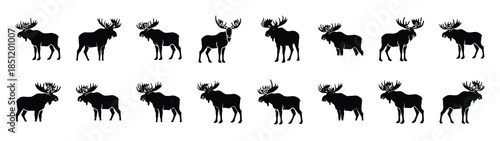 moose icons collection. Animal icon set. Isolated on White background