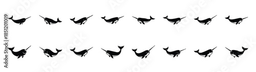 narwhal icons collection. Animal icon set. Isolated on White background