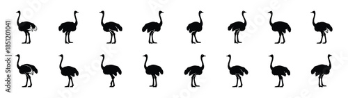 ostrich icons collection. Animal icon set. Isolated on White background