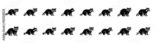 raccoon icons collection. Animal icon set. Isolated on White background