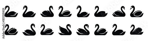 swan icons collection. Animal icon set. Isolated on White background