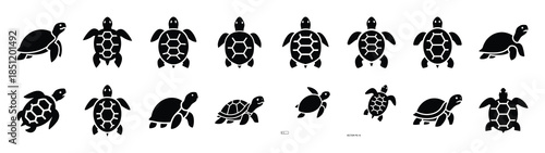 turtle icons collection. Animal icon set. Isolated on White background
