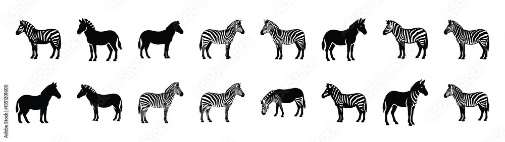 Fototapeta premium zebra icons collection. Animal icon set. Isolated on White background