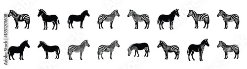 zebra icons collection. Animal icon set. Isolated on White background