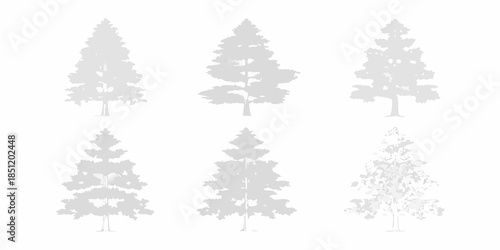 A collection of grayscale silhouettes depicting various coniferous evergreen trees