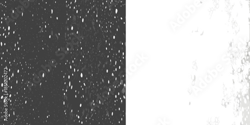 A stark contrast between a speckled dark side and a bright white side