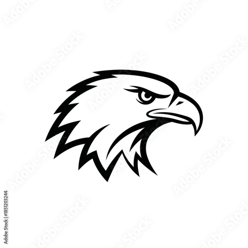 eagle head vector