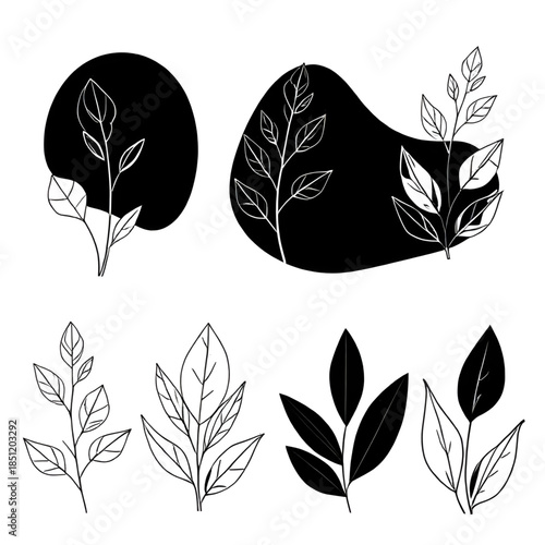 forest plant silhouettes, woodland flora shadow pack, pine needle silhouettes, forest floor plant forms, field weed outlines, bramble shadow shapes, fern silhouette bundle, thorn plant outlines, wildf