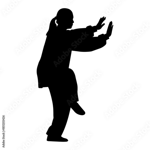 Silhouette of a person performing tai chi pose.