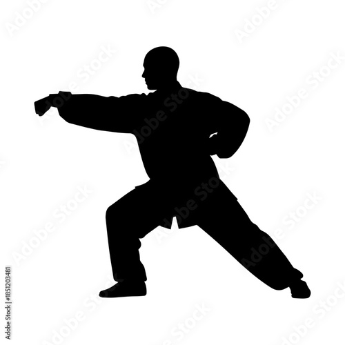 Silhouette of martial artist practicing striking pose.