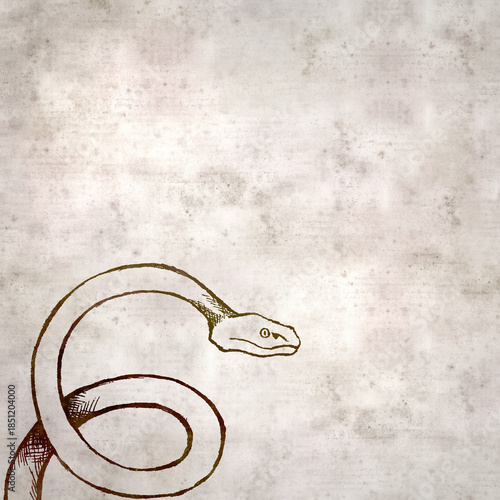 Textured old aper background with line drawing of a snake, pit viper type