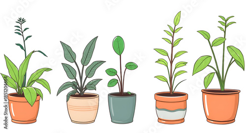 plants in pots, tropical plants, indoor tropical plants, lush greenery, big leaf plants, monstera plant, fiddle leaf fig, palm plant, indoor palms, jungle plants, exotic plants, leafy decor, natural i