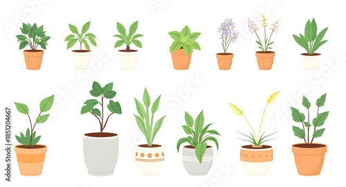 plants in pots, potted flowers, flowering plants, indoor flowers, blooming plants, decorative flower pots, colorful plants, floral decor, house flowers, ornamental plants, balcony plants, terrace plan