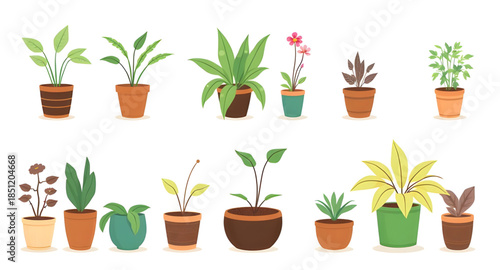 plants in pots, potted flowers, flowering plants, indoor flowers, blooming plants, decorative flower pots, colorful plants, floral decor, house flowers, ornamental plants, balcony plants, terrace plan