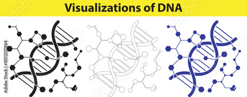 Three DNA Helix Structures Visualization for Science Education