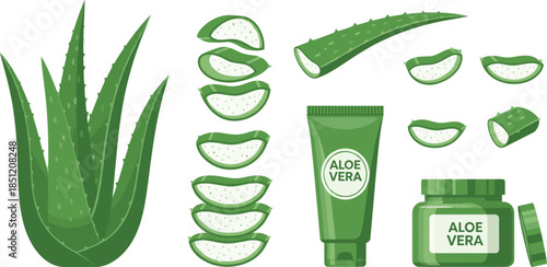 Flat vector illustration set of aloe vera plants sliced leaves gel cream and tube for natural skincare beauty cosmetic and health designs.